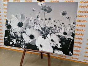 Εικόνα καλοκαιρινών λουλουδιών σε μαύρο & άσπρο - 120x80