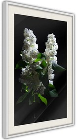 Αφίσα - White Lilac - 20x30 - Χρυσό - Χωρίς πασπαρτού