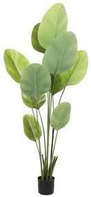 Supergreens Τεχνητό Δέντρο Πουλί του Παραδείσου "Strelitzia Augusta" Πράσινο 180 εκ.