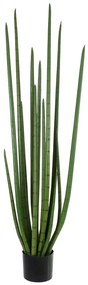 Τεχνητό Φυτό Σε Γλάστρα Sansevieria Cylindrica 20211 160cm Light Green Globostar Polyethylene
