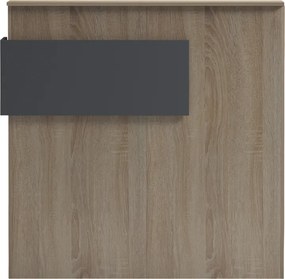 Γραφείο reception Optima pakoworld με led sonoma-ανθρακί 110x40x110εκ