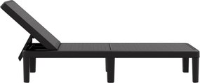 vidaXL Ξαπλώστρα Ρυθμιζόμενη σε 4 Ύψη 155,5x57x28 εκ. Πολυπροπυλένιο