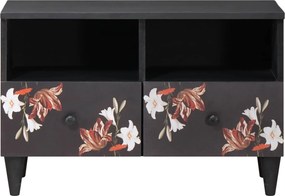 vidaXL Ντουλάπες Αποθήκευσης Πολύχρωμο 70 x 33,5 x 46 εκ.