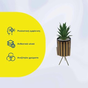 Τεχνητό Φυτό σε Κεραμικό Γλαστράκι και Χρυσή Βάση 8x24cm - Καφέ