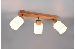 Πλαφονιέρα Φωτιστικό Οροφής E14 25W IP20 Assam R81113030 Trio Lighting-R81113030-Καφέ R81113030