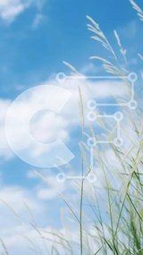 Σετ των 2 Intra Συλλεκτικό Ξύλινο Παζλ Plywood 4mm - Χλοώδες χωράφι με λευκά χόρτα και μπλε ουρανό Σε Ξύλινο Κουτί - Διαστάσεις: 10x10 cm – 25 κομμάτια