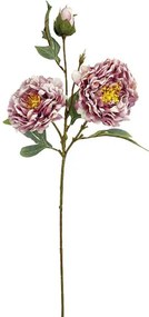Τεχνητό Λουλούδι Παιώνια 00-10000-2 71cm Bordo-White Marhome Πλαστικό, Ύφασμα