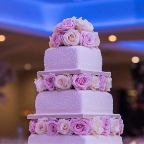 Πολυμορφικό τσέρκι ζαχαροπλαστικής ανοξείδωτο 19130 OEM