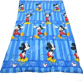 Πάπλωμα Μονό (160x250) 2 Όψεων Dimcol Micro Mickey 026