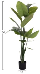 Διακοσμητικό Συνθετικό Φυτό ΣΤΡΕΛΙΤΣΙΑ C4739 σε Γλάστρα Φ18x172Υεκ. 18x18x172 εκ.