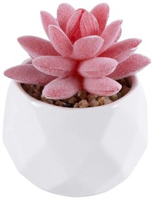 Τεχνητό Φυτό Σε Κασπώ Sedeveria 20981 Φ6x8cm Pink-White GloboStar Πηλός,Πολυαιθυλένιο