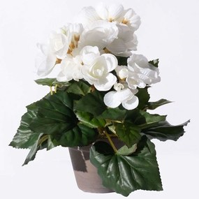 Τεχνητό Φυτό Μπιγκόνια 6390-6 20x20x25cm White Supergreens Πολυέστερ