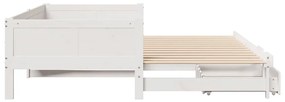 vidaXL Καναπές Κρεβάτι Συρόμενος Χωρίς Στρώμα 90x190 εκ. & Συρτάρια