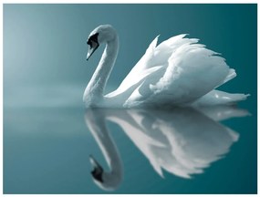 Φωτοταπετσαρία - White swan 250x193