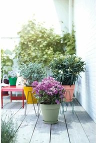 Βάζο Λουλουδιών Elho   Στρογγυλή Πράσινο Πλαστική ύλη Ø 40 cm