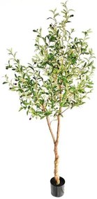 New plan OLIVE TREE NP0231_200 ΥΨΟΣ 200cm Τεμαχιο