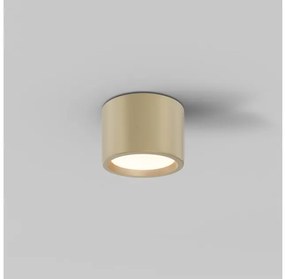 Σποτ Φωτιστικό Οροφής LED 10W Χρυσό IP44 Hydra C090CL-10W3K-MG Maytoni C090CL-10W3K-MG