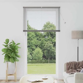 vidaXL Βενετσιάνικες Ρόδες Ασημί 220 x 115 εκ Αλουμίνιο