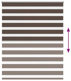 Ρόλερ Zebra Καφέ 120 x 175cm