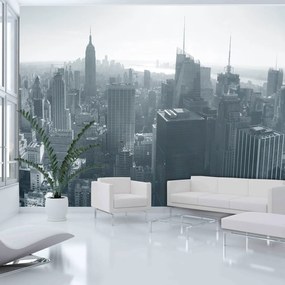 Φωτοταπετσαρία - New York City skyline black and white 350x270