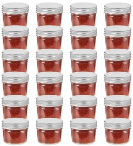 vidaXL Βάζα Μαρμελάδας 24 τεμ. 110 ml Γυάλινα με Ασημένια Καπάκια