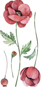 Αυτοκόλλητα Τοίχου Ango Poppies 59180