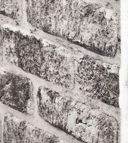 vidaXL Πάνελ τοίχου 10 pcs Σκούρο Γκρι και Λευκό 100 x 50 cm Αφρός EPS