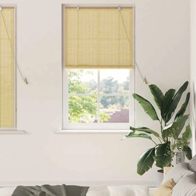 vidaXL Ρολά και Σκίες Παραθύρων Φυσικό 80 x 160 cm Μπαμπού