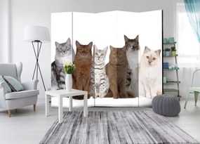 Διαχωριστικό με 5 τμήματα - Sweet Cats II [Room Dividers] 225x172