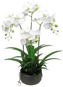 Supergreens Τεχνητό Φυτό Ορχιδέα Phalaenopsis Λευκό 60 εκ. - 5401-6