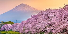 Εικόνα όμορφη Ιαπωνία - 100x50