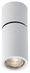 Σποτ Φωτιστικό Οροφής NOBBY Φ63 H158 Αλουμίνιο Viokef 4157100 Λευκό