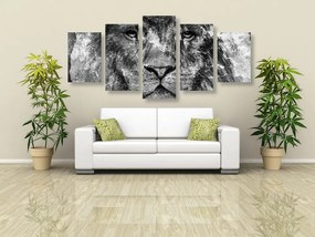 Εικόνα 5 μερών λιονταριού σε ασπρόμαυρο
