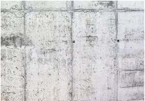 Αυτοκόλλητη φωτοταπετσαρία - Concrete Wall - 441x315