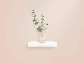 ΡΑΦΙΈΡΕΣ/ΡΆΦΙΑ ΤΟΊΧΟΥ FLOATING SHELF MDF L25*22,8CM WHITE 6RAN790BC