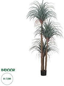20050 GloboStar® Artificial Garden PANDANUS TREE 20050 Τεχνητό Διακοσμητικό Φυτό Πάνδανος Υ210cm
