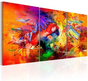 Πίνακας - Colourful Parrot 120x60