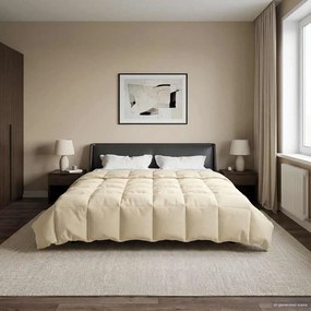 vidaXL Κουβέρτα ολόκληρου του χρόνου 220 x 240 cm