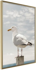 Αφίσα - Curious Seagull - 20x30 - Χρυσό - Χωρίς πασπαρτού