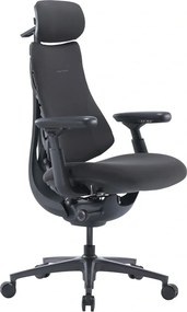Εργονομική καρέκλα LiberNovo Omni Pro 45 cm (Γραφίτης)