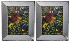 Artekko Srildac Κάδρα Σετ/2 Διακοσμητικά "Parrot" (43x4x53)cm Artekko 43644-DS