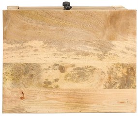 vidaXL Κομοδίνο 45 x 35 x 60 εκ. από Μασίφ Ξύλο Μάνγκο