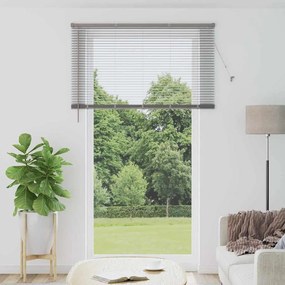 vidaXL Βενετσιάνικες Ρόδες Ασημί 220 x 130 εκ Αλουμίνιο
