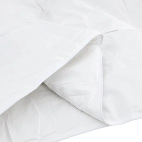 vidaXL Χειμερινό Παπλωματοθήκη με μαξιλάρι 2 pcs Λευκό Φτέρος