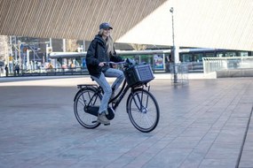 Image 28 Inch 50 cm Women 7SP Roller brakes Matte black