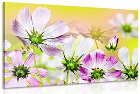 Εικόνα καλοκαιρινά λουλούδια - 60x40