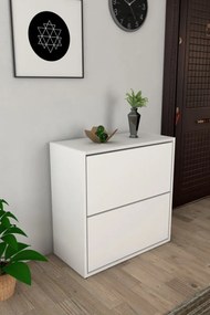 Stewehome Ντουλάπι παπουτσιών με 2 πόρτες και συρόμενα ράφια λευκό 74x24x75 cm