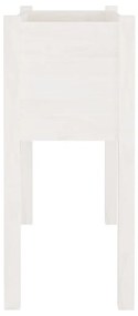 Ζαρντινιέρα Λευκή 70 x 31 x 70 εκ από Μασίφ Ξύλο Πεύκου - Λευκό