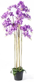 Supergreens Τεχνητό Φυτό Ορχιδέα Phalaenopsis Μωβ 180 εκ.