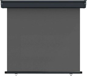 vidaXL Αυλούπα Πλευράς Μπαλκονιού 60 x 250 εκ.